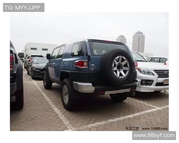 北京排球队在洲际杯积分榜中以61分稳居第一名展现强劲实力