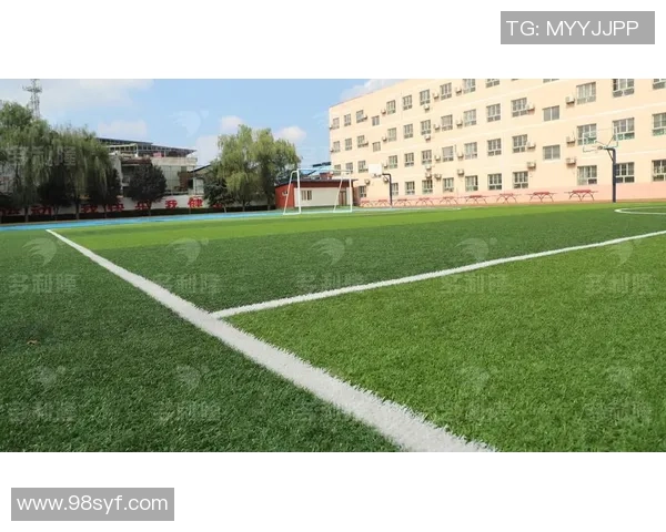 强大的足球草如何提升球场表现与运动员健康的全面解析