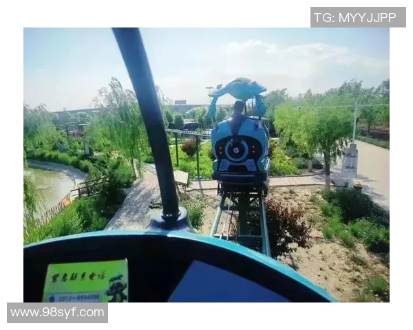 海豹过人足球的奇妙之旅探索海洋生物与运动的完美结合 海豹过人足球的奇妙之旅探索海洋生物与运动的完美结合