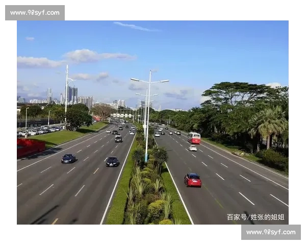 羽毛球冠军的荣耀之路与奋斗故事全面解析