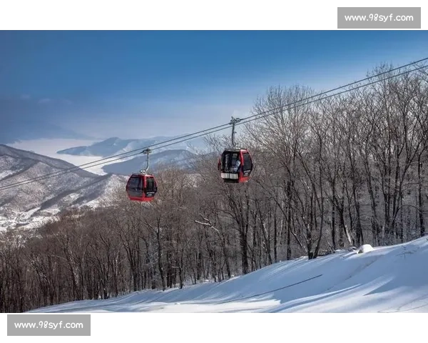 雪道争锋激战,滑雪世界杯精彩赛事全景解析 雪道争锋激战,滑雪世界杯精彩赛事全景解析