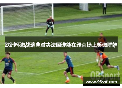 欧洲杯激战瑞典对决法国谁能在绿茵场上笑傲群雄